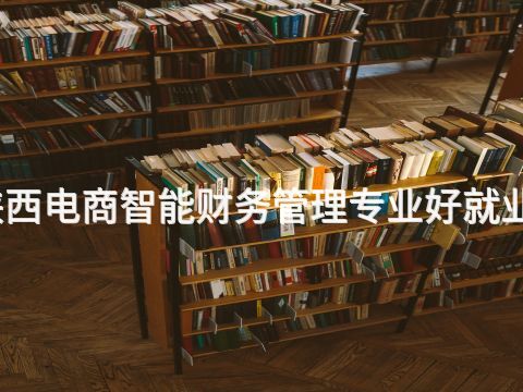 陕西电商智能财务管理专业好就业吗