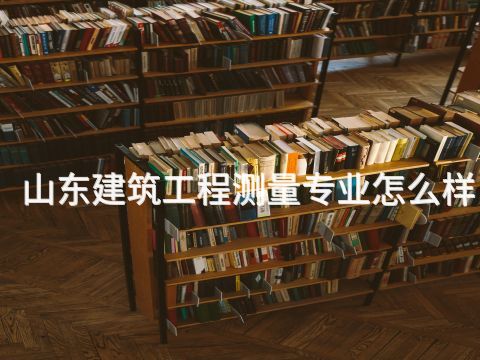 山东建筑工程测量专业怎么样(图1) 山东建筑工程测量专业怎么样(图1)
