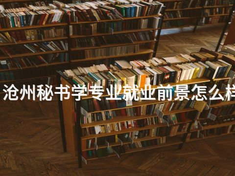 滄州秘書學專業就業前景怎么樣