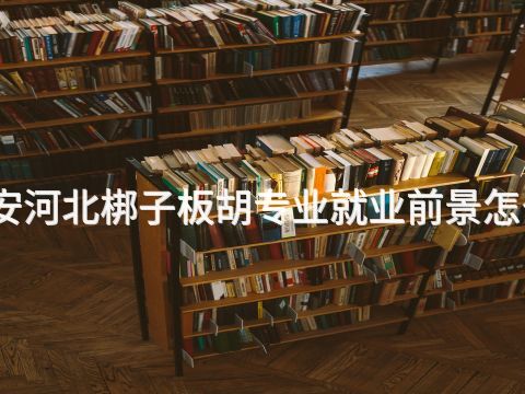 泰安河北梆子板胡专业就业前景怎么样