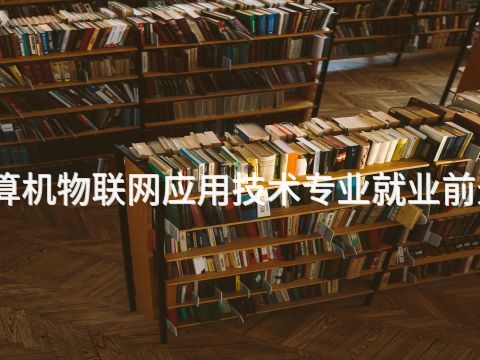 邯郸计算机物联网应用技术专业就业前景怎么样(图1)