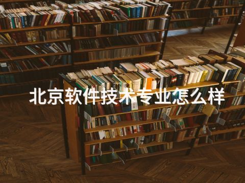 北京软件技术专业怎么样(图1) 北京软件技术专业怎么样(图1)