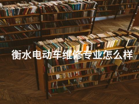 衡水电动车维修专业怎么样
