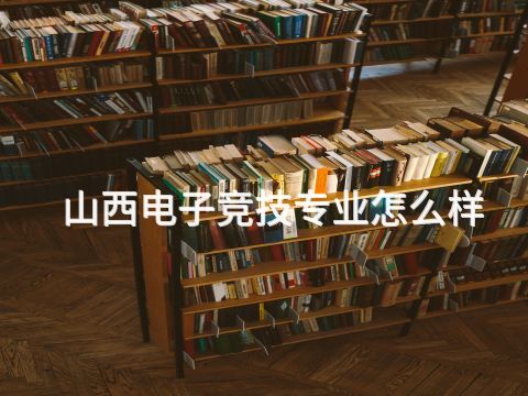 山西电子竞技专业怎么样(图1) 山西电子竞技专业怎么样(图1)