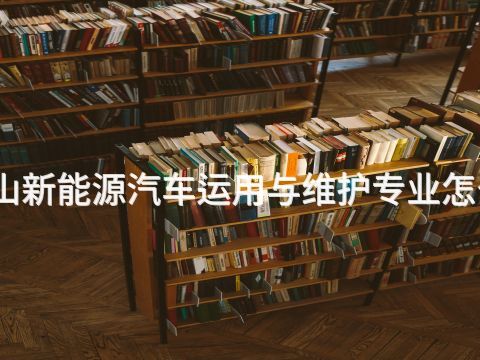 唐山新能源汽车运用与维护专业怎么样