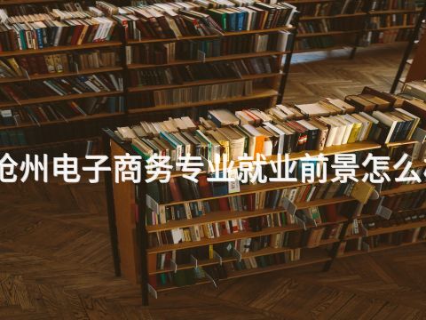 滄州電子商務專業就業前景怎么樣
