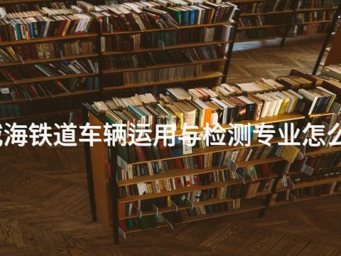 威海铁道车辆运用与检测专业怎么样(图1) 威海铁道车辆运用与检测专业怎么样(图1)