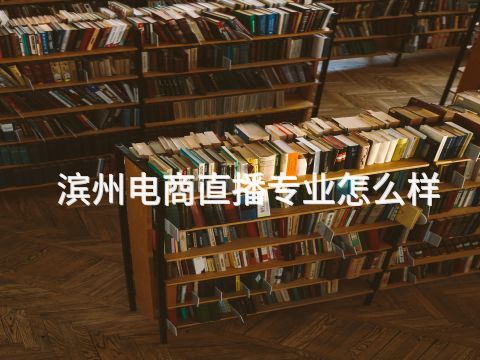 滨州电商直播专业怎么样