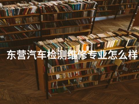 东营汽车检测维修专业怎么样(图1)