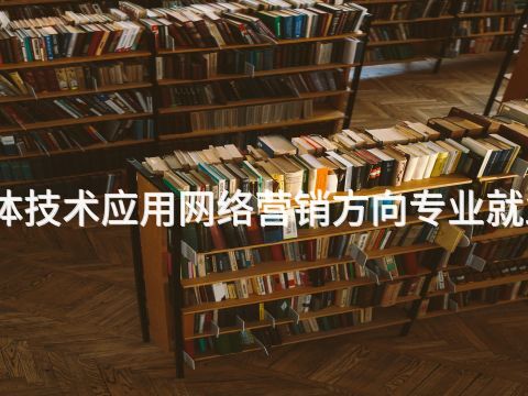 济南数字媒体技术应用网络营销方向专业就业前景怎么样