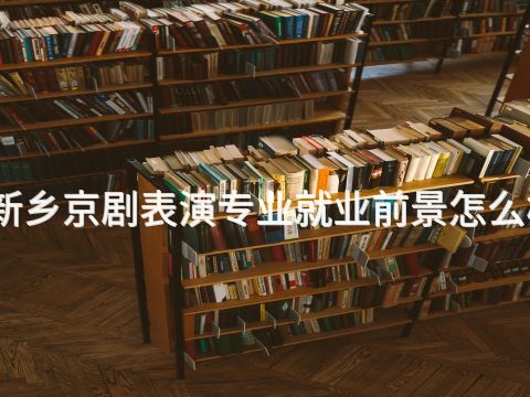 新乡京剧表演专业就业前景怎么样
