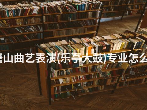 唐山曲艺表演(乐亭大鼓)专业怎么样