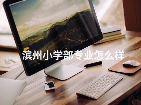 滨州小学部专业怎么样