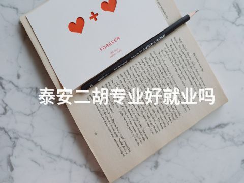 泰安二胡专业好就业吗