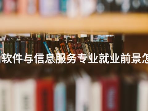 唐山软件与信息服务专业就业前景怎么样