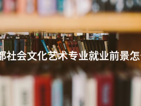 成都社会文化艺术专业就业前景怎么样