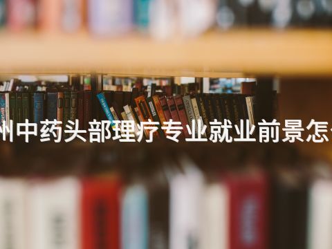 鄭州中藥頭部理療專業就業前景怎么樣