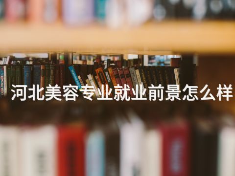 河北美容专业就业前景怎么样(图1)