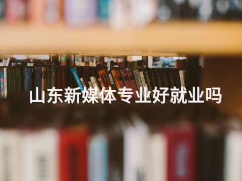 山东新媒体专业好就业吗