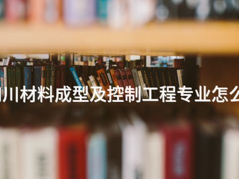 四川材料成型及控制工程專業(yè)怎么樣