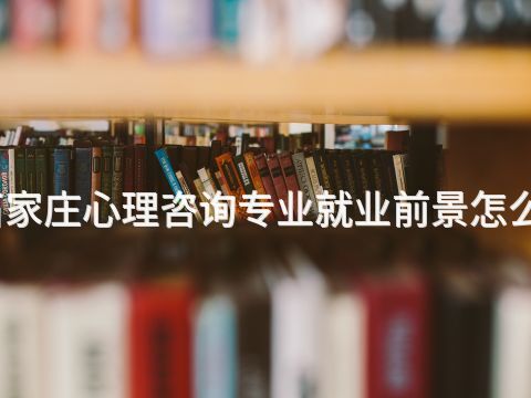 石家莊心理咨詢專業就業前景怎么樣