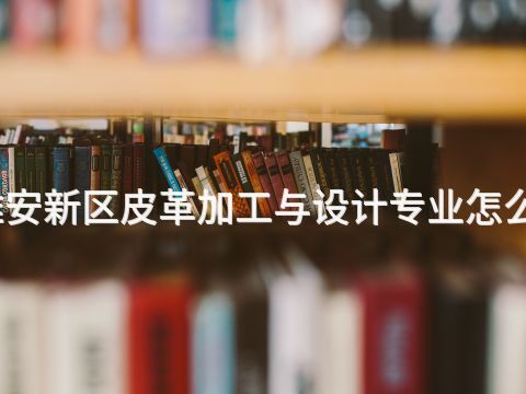 雄安新区皮革加工与设计专业怎么样(图1) 雄安新区皮革加工与设计专业怎么样(图1)