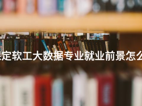 保定软工大数据专业就业前景怎么样