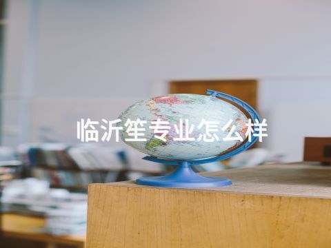 臨沂笙專業怎么樣(圖1) 臨沂笙專業怎么樣(圖1)