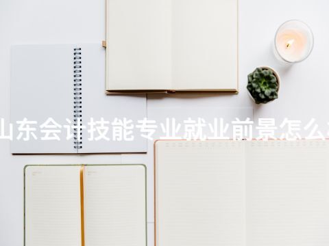 山东会计技能专业就业前景怎么样
