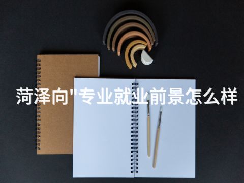 菏泽向"专业就业前景怎么样(图1) 菏泽向"专业就业前景怎么样(图1)