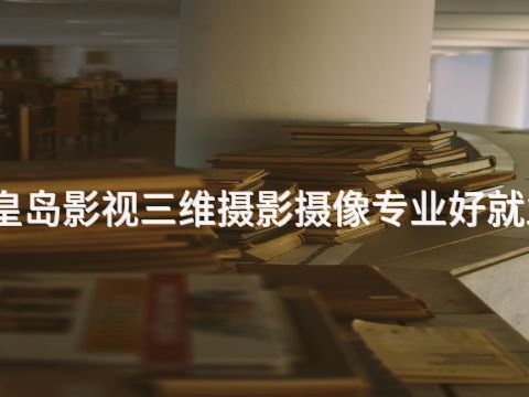 秦皇岛影视三维摄影摄像专业好就业吗