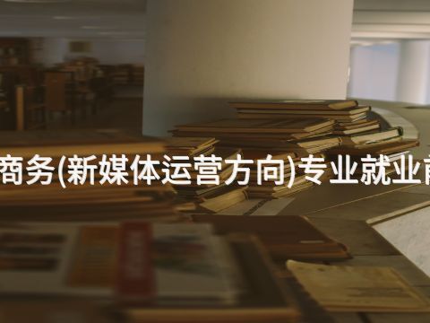 承德電子商務(新媒體運營方向)專業就業前景怎么樣