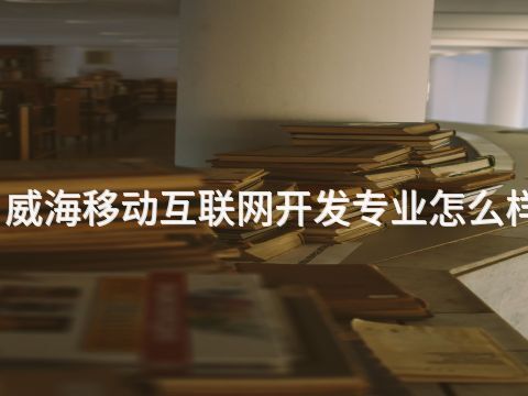 威海移动互联网开发专业怎么样
