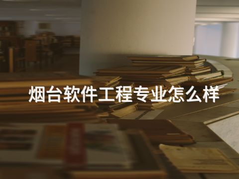 烟台软件工程专业怎么样