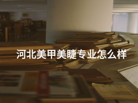 河北美甲美睫专业怎么样(图1)