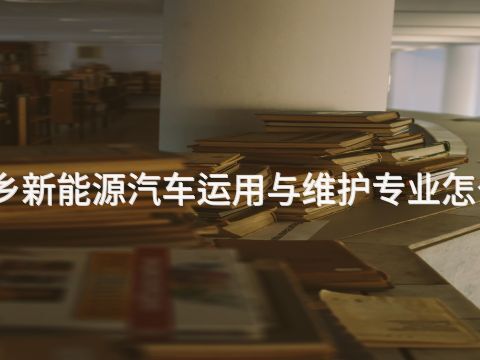 新乡新能源汽车运用与维护专业怎么样