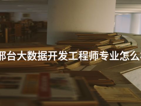 邢台大数据开发工程师专业怎么样(图1) 邢台大数据开发工程师专业怎么样(图1)