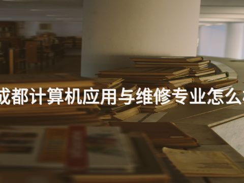 成都计算机应用与维修专业怎么样