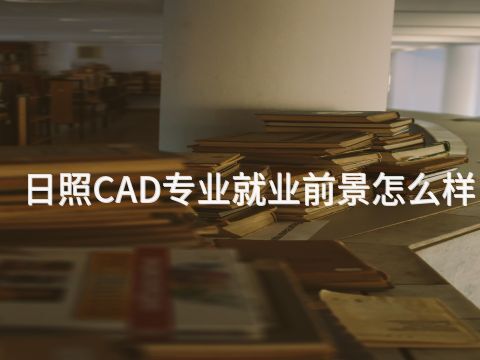 日照CAD专业就业前景怎么样(图1) 日照CAD专业就业前景怎么样(图1)