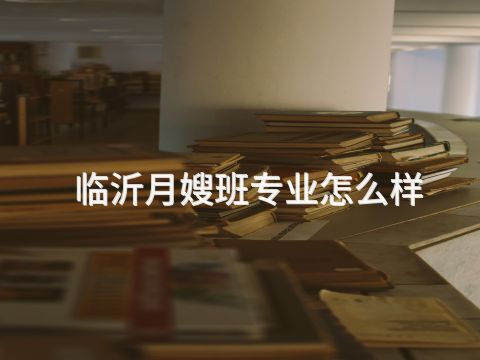 临沂月嫂班专业怎么样