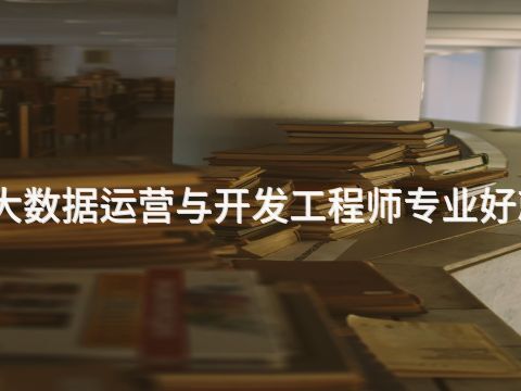 陕西大数据运营与开发工程师专业好就业吗