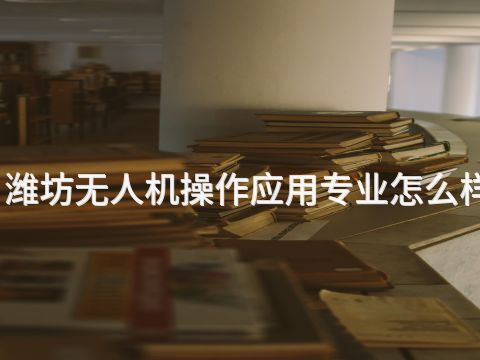 潍坊无人机操作应用专业怎么样(图1) 潍坊无人机操作应用专业怎么样(图1)