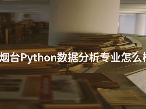 烟台Python数据分析专业怎么样