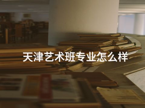 天津艺术班专业怎么样