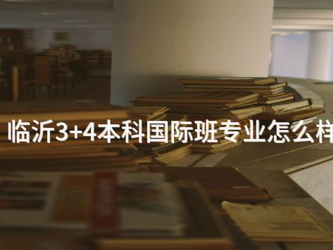 临沂3+4本科国际班专业怎么样