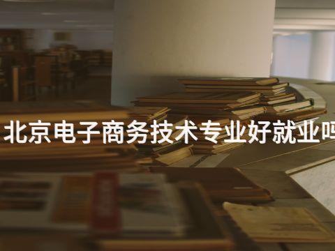 北京电子商务技术专业好就业吗(图1) 北京电子商务技术专业好就业吗(图1)