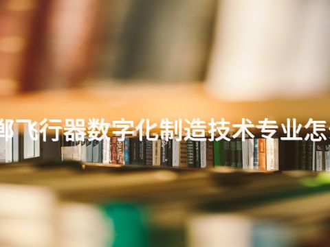 邯郸飞行器数字化制造技术专业怎么样(图1) 邯郸飞行器数字化制造技术专业怎么样(图1)