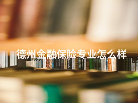 德州金融保险专业怎么样