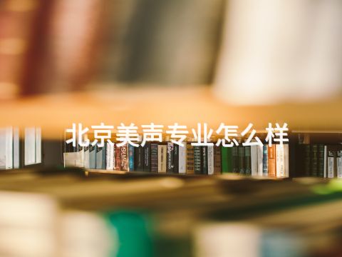 北京美声专业怎么样