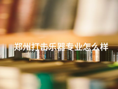 郑州打击乐器专业怎么样